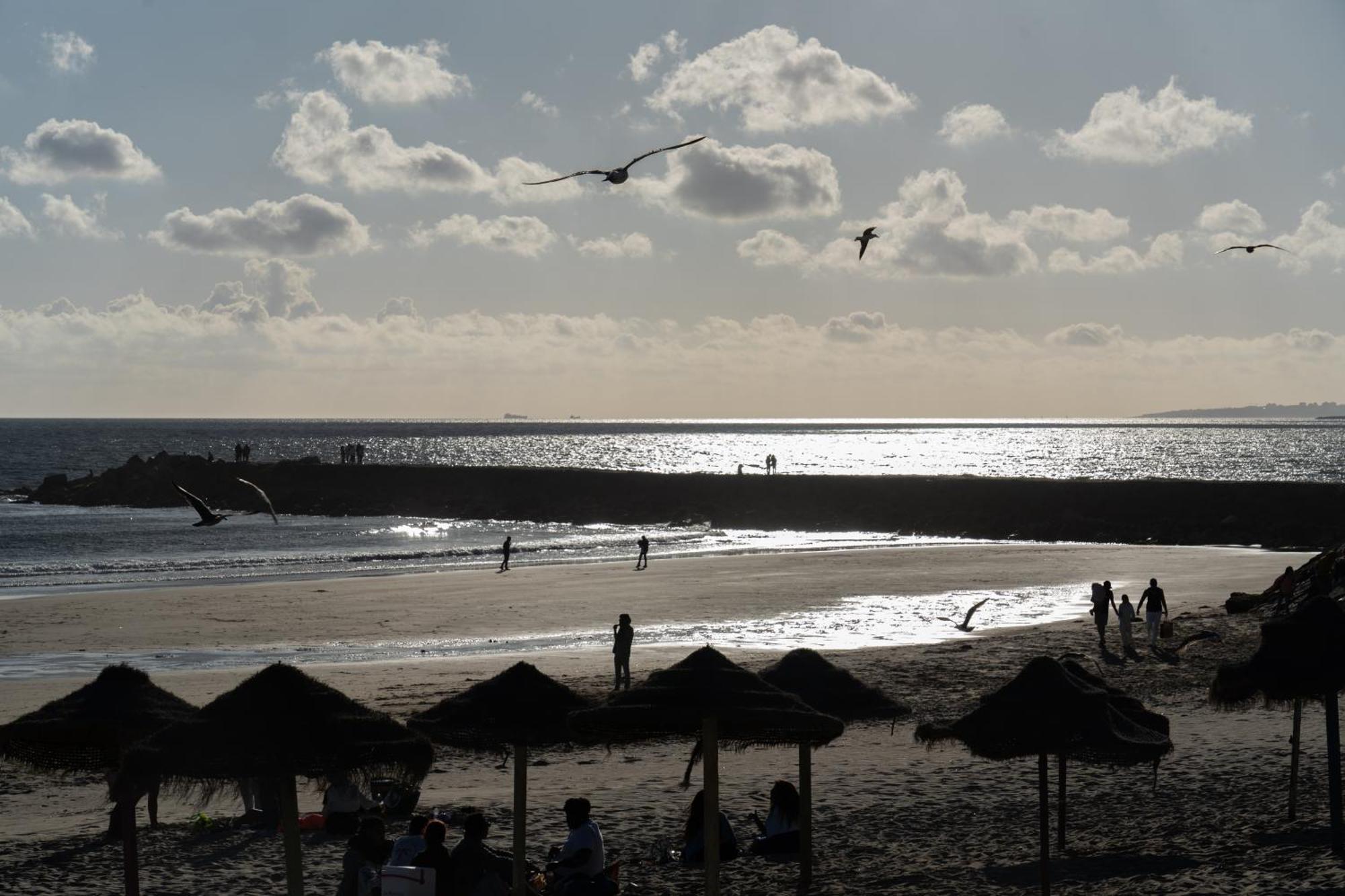 Apartment Stunning Blue House, Caparica Costa da Caparica